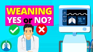 Ventilator Settings for Weaning TMC Practice Question  Respiratory Therapy Zone [upl. by Hareemas]