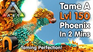 Ark THE BEST WAY EVER TO TAME A PHOENIX How To Tame A Phoenix SOLO Ark [upl. by Ainala]