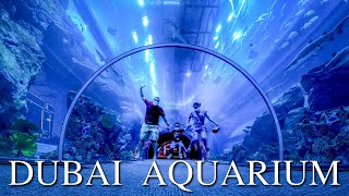 Exploring DUBAI AQUARIUM amp UNDERWATER ZOO [upl. by Yecak629]