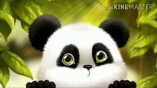 Desiigner  panda song  official music video [upl. by Elleunamme]