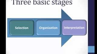 Perception Basics [upl. by Ozen]