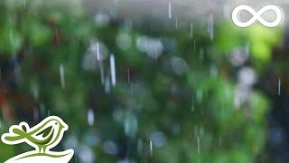 Relaxing Music amp Soft Rain Sounds  Peaceful Piano Music for Sleep amp Relaxation [upl. by Ahsinirt]