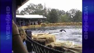 SeaWorld Tilikum Orca That Killed Trainer Has Died [upl. by Navonod]