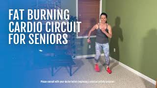 Fat Burning Cardio Circuit for Seniors  SilverSneakers [upl. by Yeargain940]