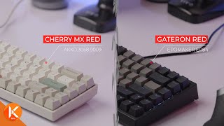 Cherry MX Red Switches Vs Gateron Red Switches Typing Sounds ASMR [upl. by Nnainot]