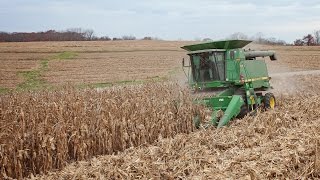 How a corn head works  Corn Harvesting [upl. by Eronaele]