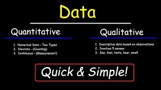 Qualitative and Quantitative [upl. by Myrtie]