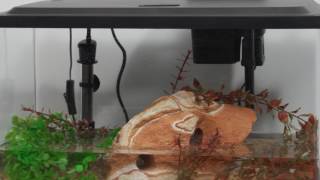 Tetra® Products — 10 Gallon Aquarium Kit Setup [upl. by Alexandre209]