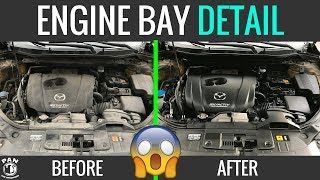 HOW TO CLEAN YOUR ENGINE BAY  EASY TUTORIAL [upl. by Stanislaus]