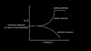 Potentiodynamic Corrosion Testing Protocol step by step [upl. by Airaet]