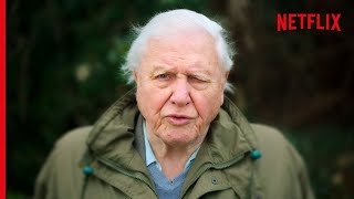 Sir David Attenborough On The Devastating Truth About Coral Reefs [upl. by Rhett]