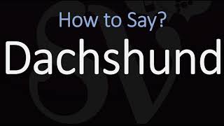 How to Pronounce Dachshund CORRECTLY Badger Dog name Pronunciation [upl. by Atiuqet]