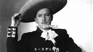 Pedro Infante  Piel Canela [upl. by Manard]