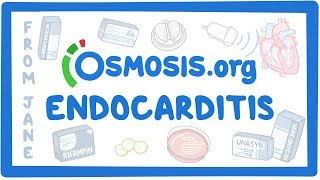 Clinicians Corner Endocarditis [upl. by Honeyman]