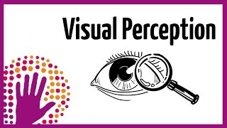 Visual Perception – How It Works [upl. by Aaronson434]