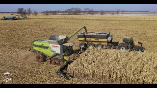 2019 Illinois Corn Harvest with On Track Farming Inc [upl. by Lucey959]