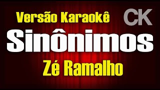 Zé Ramalho Sinônimos Karaokê [upl. by Nanam122]