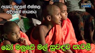 Bo Maluwe Mal  Adeepa with Sahara Flash  Best Sinhala Songs  SAMPATH LIVE VIDEOS [upl. by Akienaj]