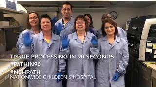 Pathology tissue processing explained in 90 seconds [upl. by Banquer]