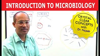 Introduction to Microbiology [upl. by Cioffred]