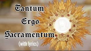 Tantum ergo Sacramentum lyrics Holy Hour HymnEucharistic Adoration Chant Catholic [upl. by Baecher]