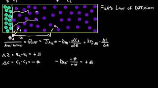 Ficks First Law of Diffusion [upl. by Oirasor]