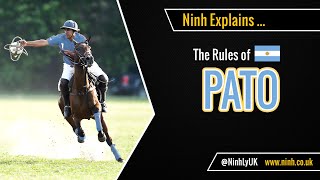 The Rules of Pato Horseball  EXPLAINED [upl. by Sibell]