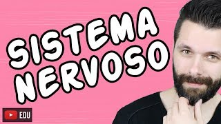 SISTEMA NERVOSO  FISIOLOGIA  Aula  Biologia com Samuel Cunha [upl. by Inaleon]