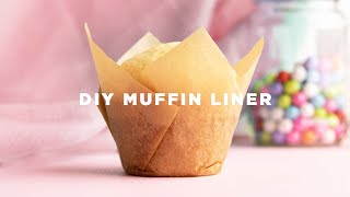 How to Make Cupcake Liners [upl. by Aleacim]