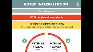 ROTEM in 5 minutes [upl. by Blanche]