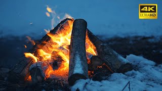 🔥 A Crackling Campfire During a Windy Winter Night 10 HOURS 50FPS 🔥 Cozy Fireplace 4K for Sleeping [upl. by Carlisle]