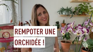 Rempoter une orchidée facilement [upl. by Anala6]