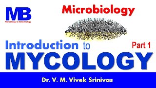 INTRODUCTION TO MYCOLOGY  Microbiology  Vivek Srinivas  Mycology Microbiology FungalMorphology [upl. by Avril]