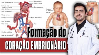 Desenvolvimento do Coração Embrionário  Cardiopatias Congênitas PARTE 1 │ Fisiopatologia PORTH [upl. by Holmes189]