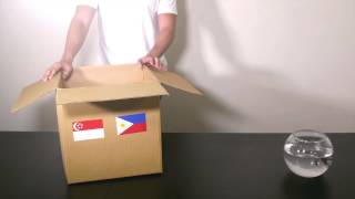 Cebu Pacific Unboxing New PhilippinesSingapore Route [upl. by Clein]