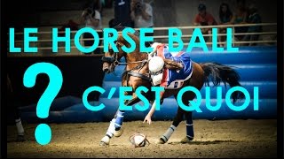 4 Le HorseBall Pour Les Nul Explication simple HistoireRègles [upl. by Anigroeg]