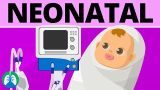 Neonatal Mechanical Ventilation Quick Medical Overview [upl. by Lledrac]