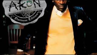 Akon  Sorry Blame It On Me Áudio [upl. by Olram]