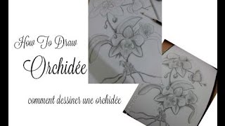 How To Draw Une Orchidée [upl. by Iverson]