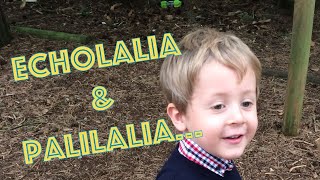 Echolalia amp Palilalia  What does Echolalia sound like  Autism Awareness  ASD  Child Speech Delay [upl. by Iaoh150]