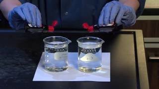 Diffusion and Osmosis  For Teachers [upl. by Novel967]