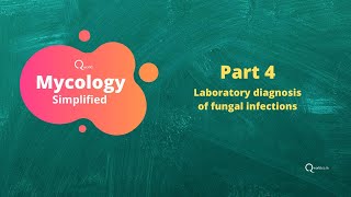 Mycology fungi tutorials Part 4 Laboratory diagnosis of fungal infections [upl. by Edris]