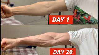 Vascular Forearms in Only 20 Days [upl. by Dardani]