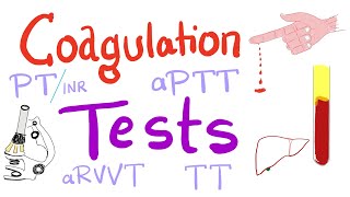 Coagulation Tests  PT aPTT TT Fibrinogen Mixing Studies [upl. by Alexandra]