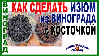 🍇 Как сделать вкусный изюм из винограда с косточкой Какой виноград подходит лучше всего [upl. by Suiravaj995]