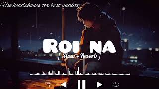 Roi Na Lofi song  SlowedReverb   ninja ‎LOFIMusic0304 [upl. by Melony]