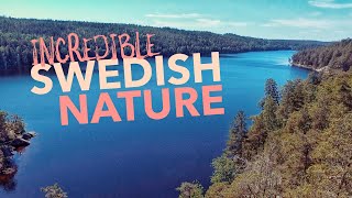 Exploring AMAZING Swedish Nature  My Favourite Things About Sweden [upl. by Emad542]