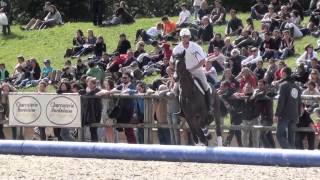 Alltech FEI World Equestrian Games 2014  HorseBall Presentation [upl. by Llemar325]