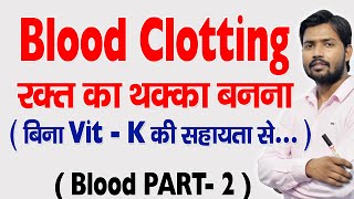 Blood Clotting  Blood Coagulation in Hindi [upl. by Noyerb]