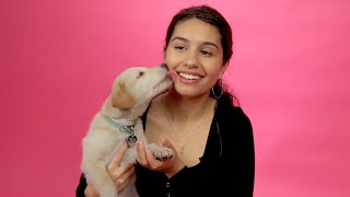 Alessia Cara Plays With Puppies While Answering Fan Questions [upl. by Hteb]